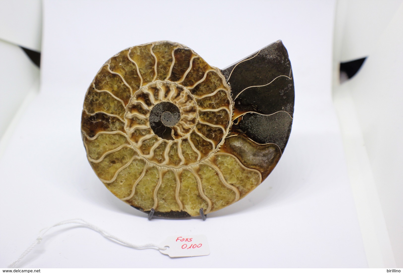 960 - Fossile Di Ammonite - Metà Di Fossile Di Conchiglia - Provenienza Madagascar Peso 230gr - Fossiles