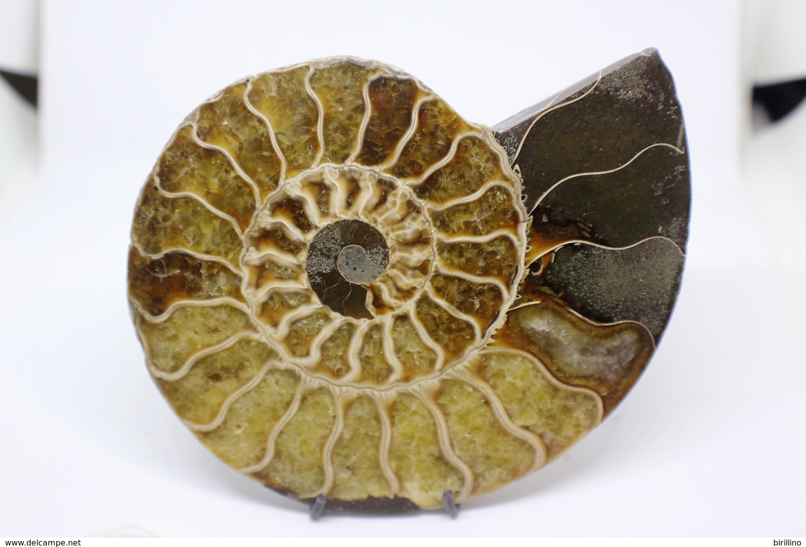 960 - Fossile Di Ammonite - Metà Di Fossile Di Conchiglia - Provenienza Madagascar Peso 230gr - Fossili