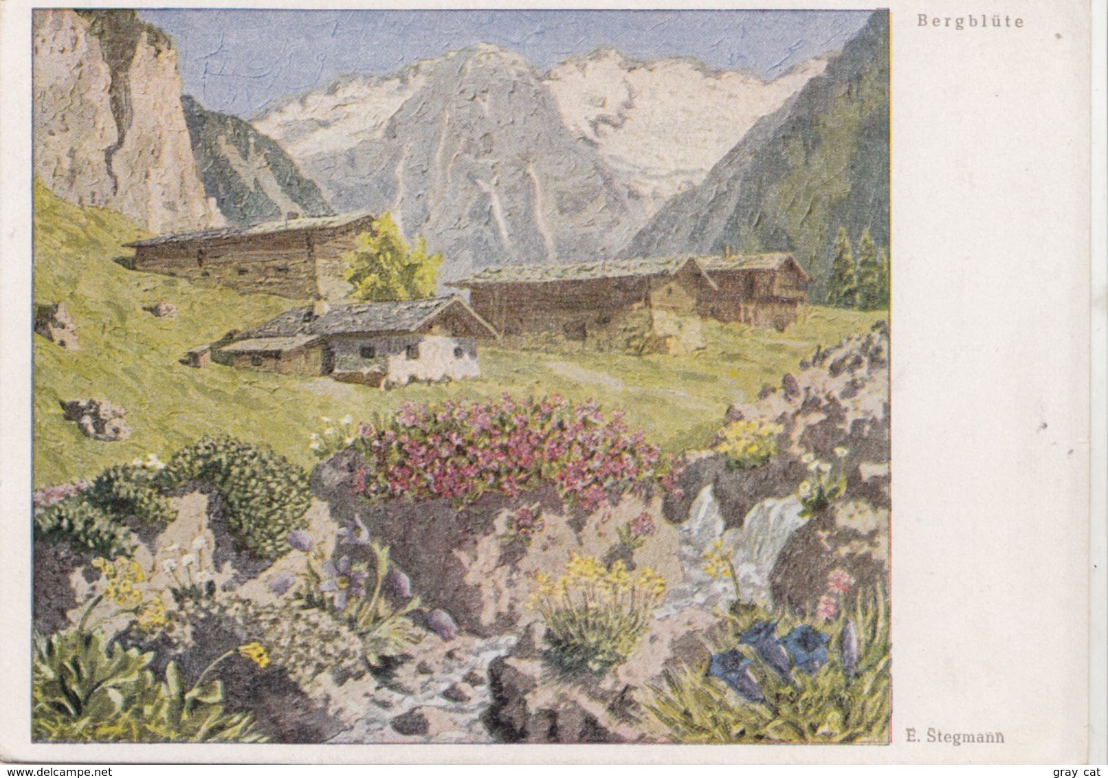 Erich Stegmann, Bergblute, Unused Postcard [22250] - Paintings