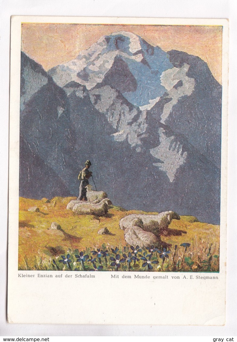 Kleiner Enzian Auf Der Schafalm Mit Dem Munde Gemalt Von A. E. Stegmann, Used Postcard [22251] - Paintings