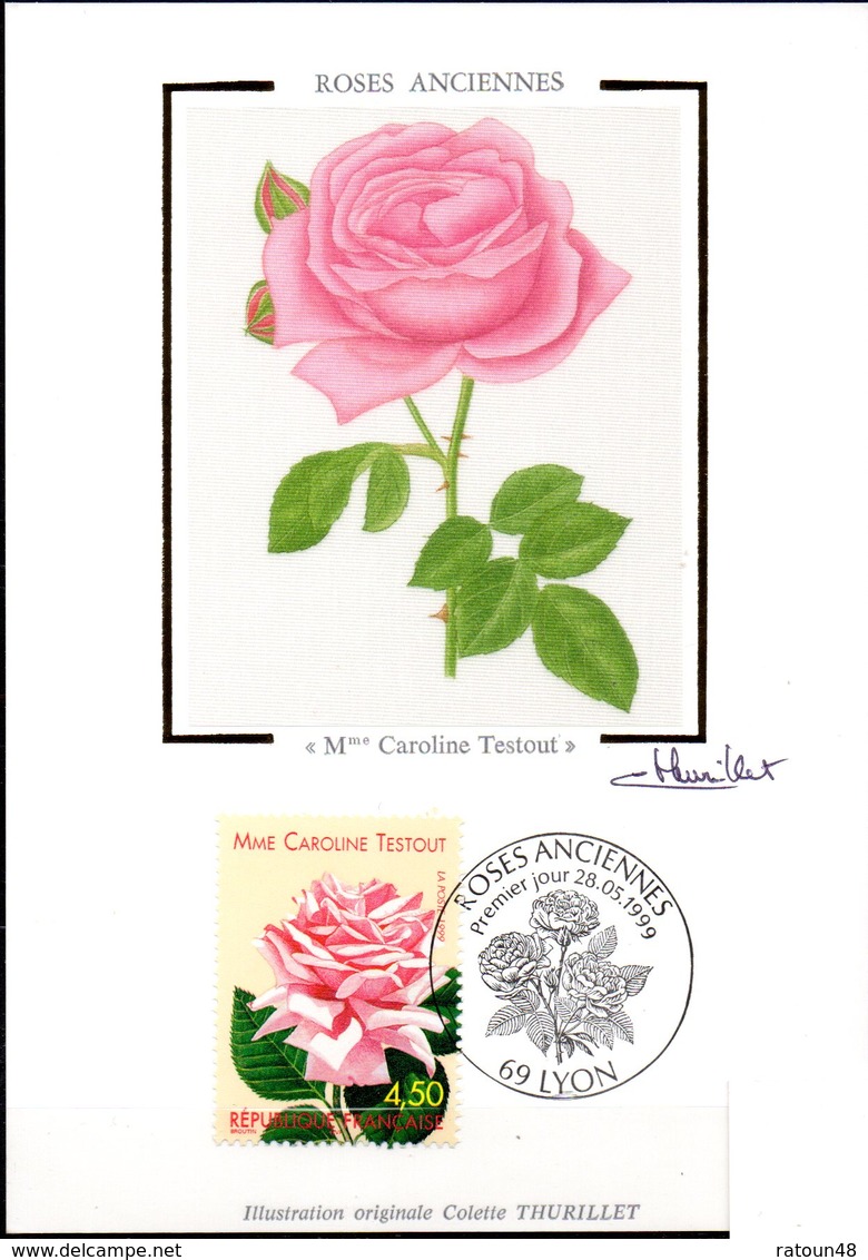 CP  Cachet PJ 28/05/1999 à LYON - Rose Ancienne (Mme Caroline Testout ) N° 3250 - Roses