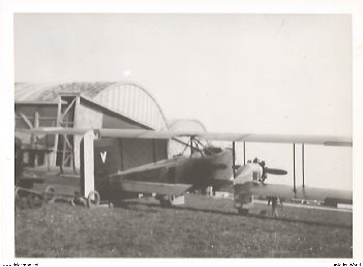 PHOTO AVION LIORé ET OLIVIER 20 BN3   12X8CM - 1919-1938: Entre Guerres