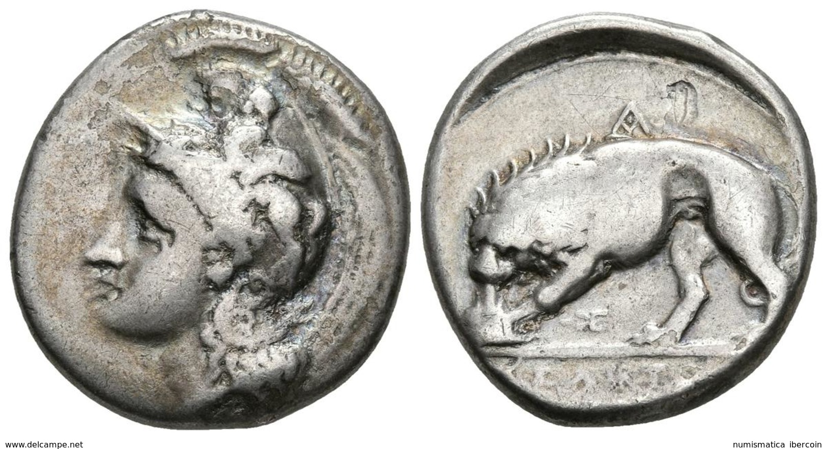 LUCANIA, Velia. Didracma. 344-300 A.C. Grupo Kleudoros. A/ Athenea A Izquierda Con Casco Frigio Decorado Con Centauros.  - Greche