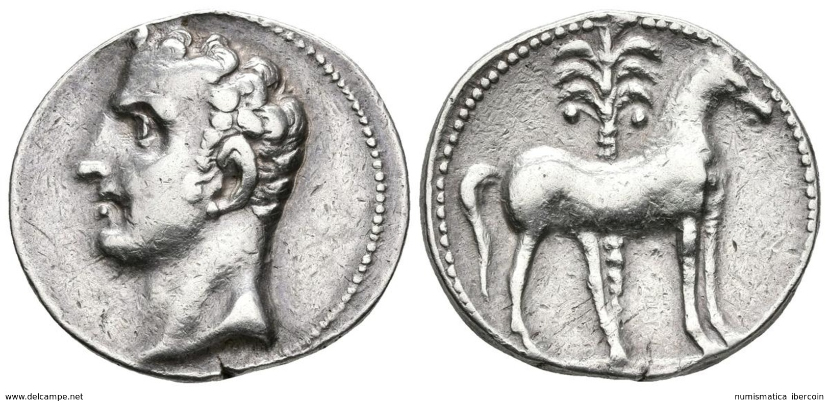 CARTAGONOVA. Shekel. 220-205 A.C. Cartagena (Murcia). A/ Busto Masculino A Izquierda. R/ Caballo Parado A Derecha, Detrá - Gauloises