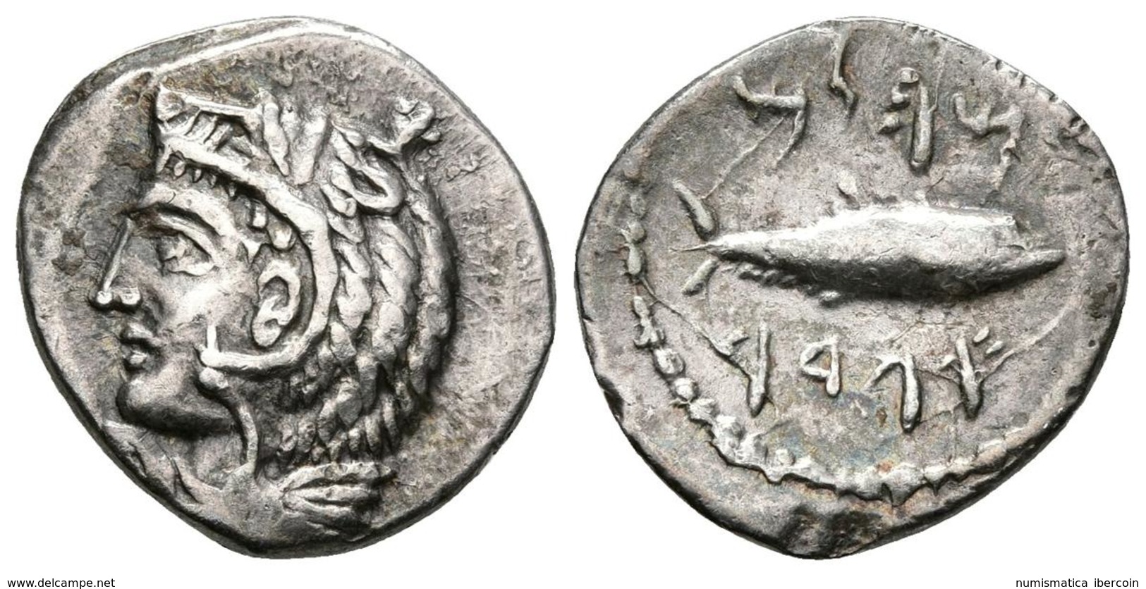 GADES. Hemidracma. Cádiz. 300-200 A.C. A/ Cabeza De Melkart A Izquierda Recubierta Con Piel De León. R/ Atún A Derecha E - Celtas