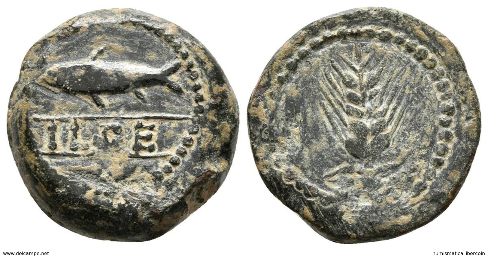 ILSE. Sextante. 120-20 A.C. ¿Gerena? (Sevilla). A/ Sábalo A Izquierda Entre Líneas ILSE. R/ Espiga. FAB-1555. Ae. 4,09g. - Gauloises