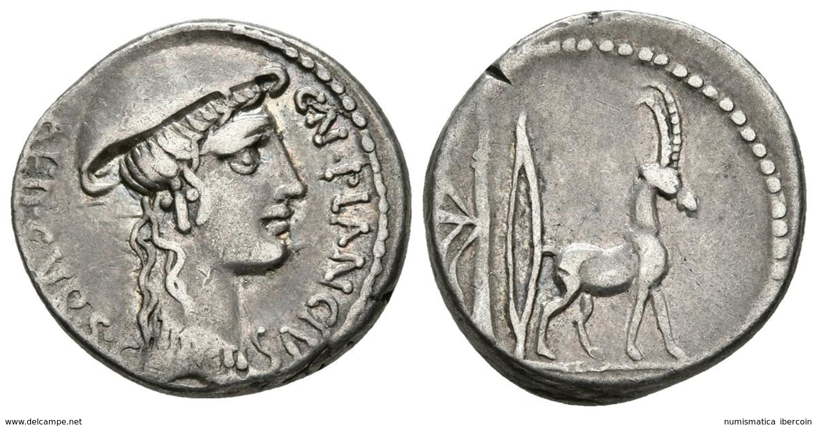 CN. PLANCIUS. Denario. 55 A.C. Roma. A/ Busto De Diana Planciana A Derecha Con Petasus. CN PLANCIUS AED CUR SC. R/ Cabra - Republic (280 BC To 27 BC)