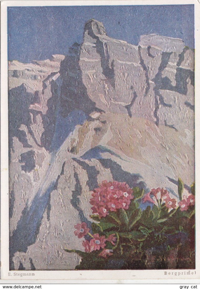 Erich Stegmann, Bergprimel, Unused Postcard [22261] - Paintings