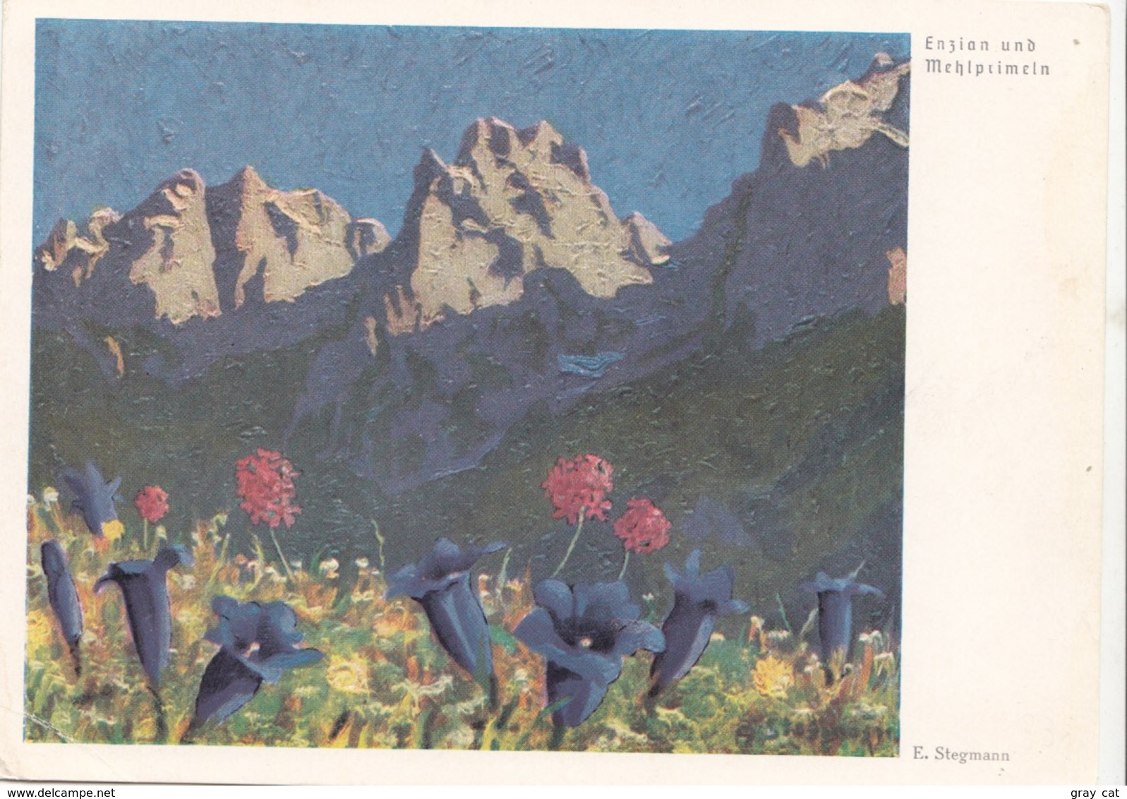 Enzian Und Mehlprimeln, Erich Stegmann, Unused Postcard [22265] - Paintings