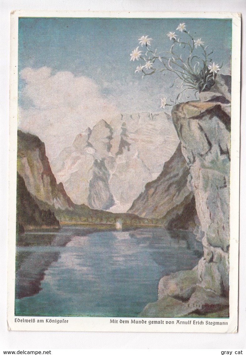 Edelweiß Am Königssee, Erich Stegmann, Unused Postcard [22266] - Paintings