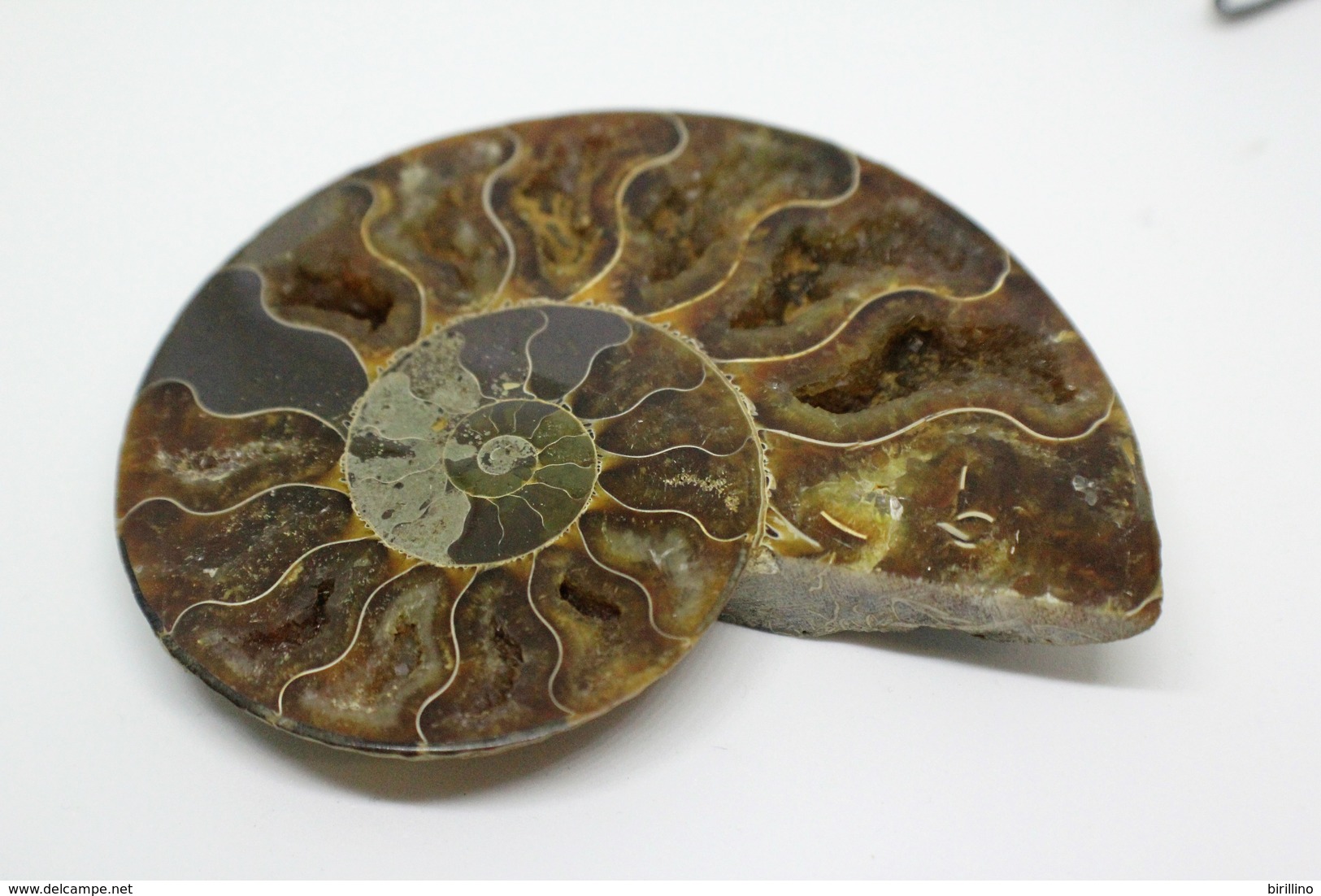 968 - Fossile di ammonite - Metà di fossile di conchiglia - Provenienza Madagascar Peso 106 gr