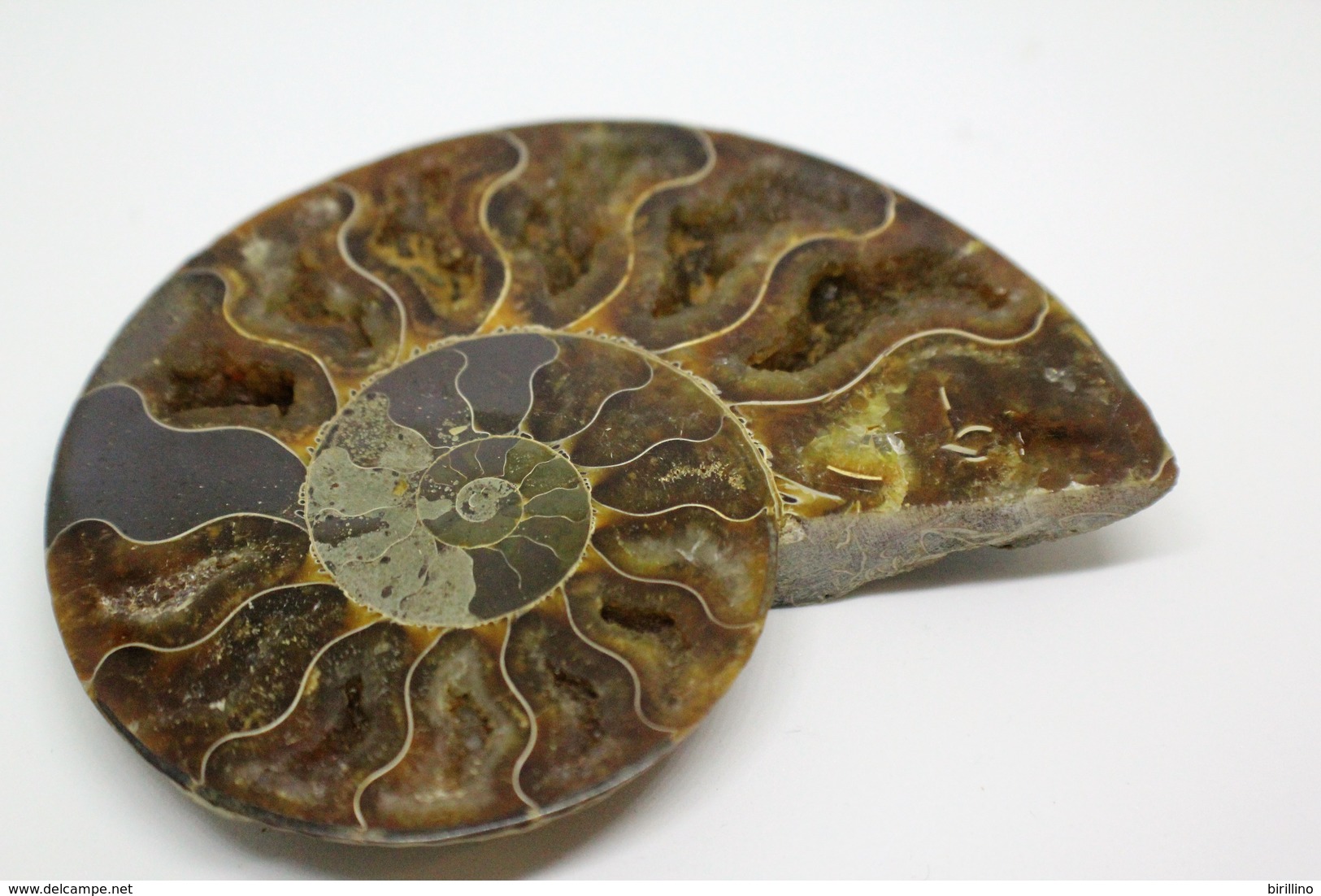 968 - Fossile di ammonite - Metà di fossile di conchiglia - Provenienza Madagascar Peso 106 gr