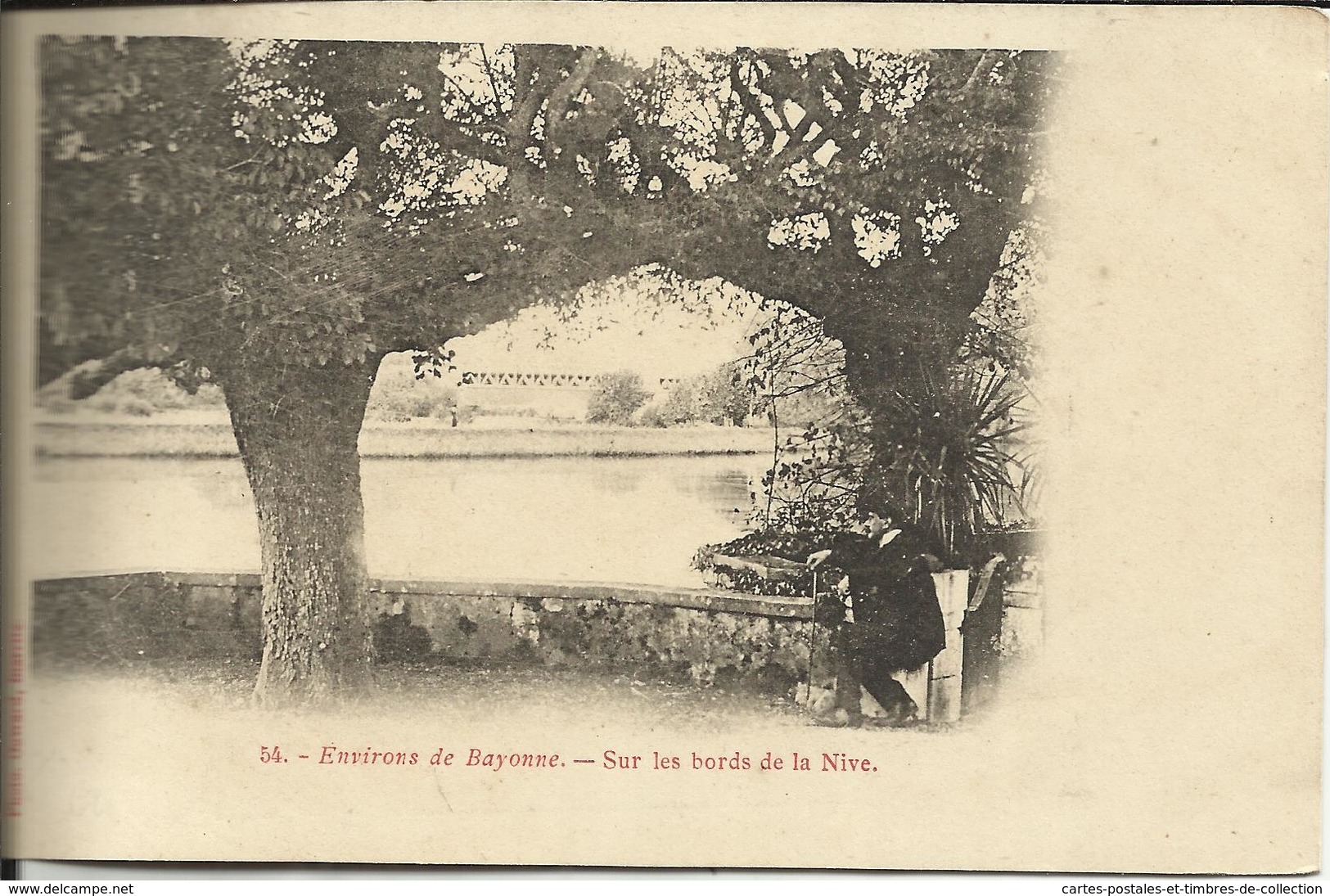 Environs De BAYONNE , Sur Les Bords De La Nive , CPA ANIMEE - Bayonne