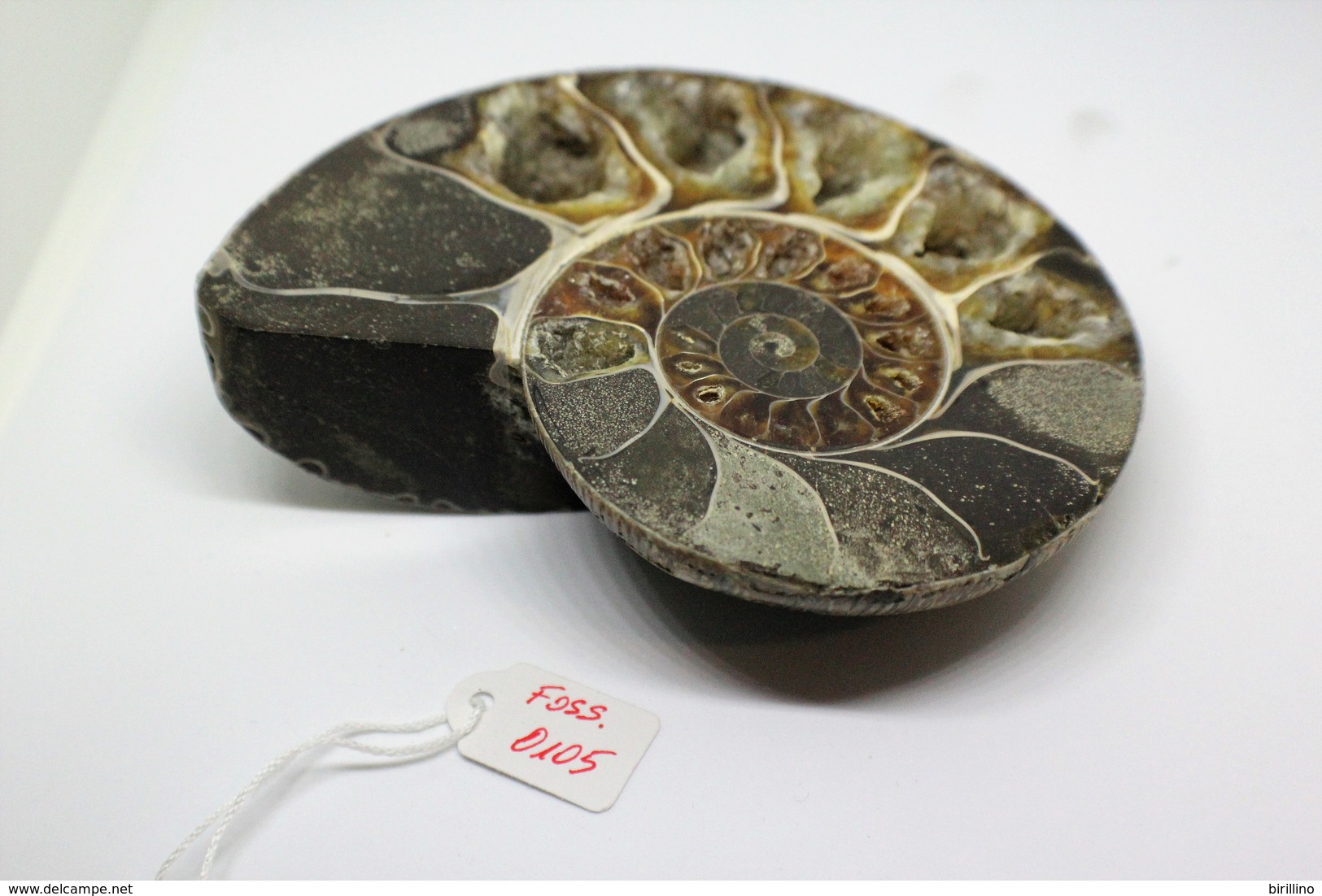 996 - Fossile Di Ammonite - Metà Di Fossile Di Conchiglia - Provenienza Madagascar Peso 371 Gr - Fossiles