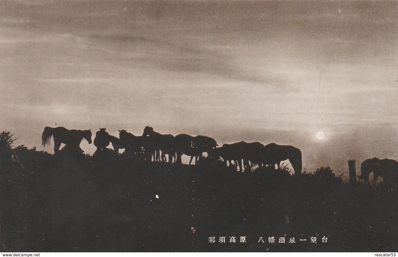 Rare Cpa Japon Années 50 Lieu Inconnu Belle Animation Chevaux - Nagoya