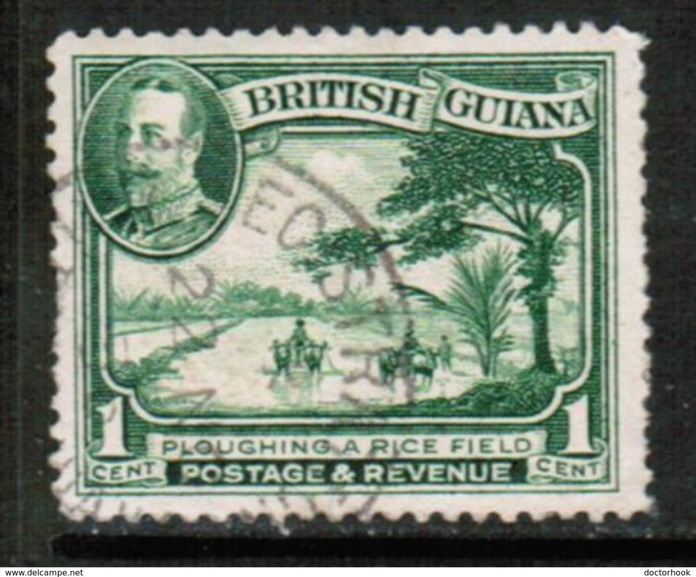 BRITISH GUIANA   Scott # 210 VF USED (Stamp Scan # 432) - Guyane Britannique (...-1966)