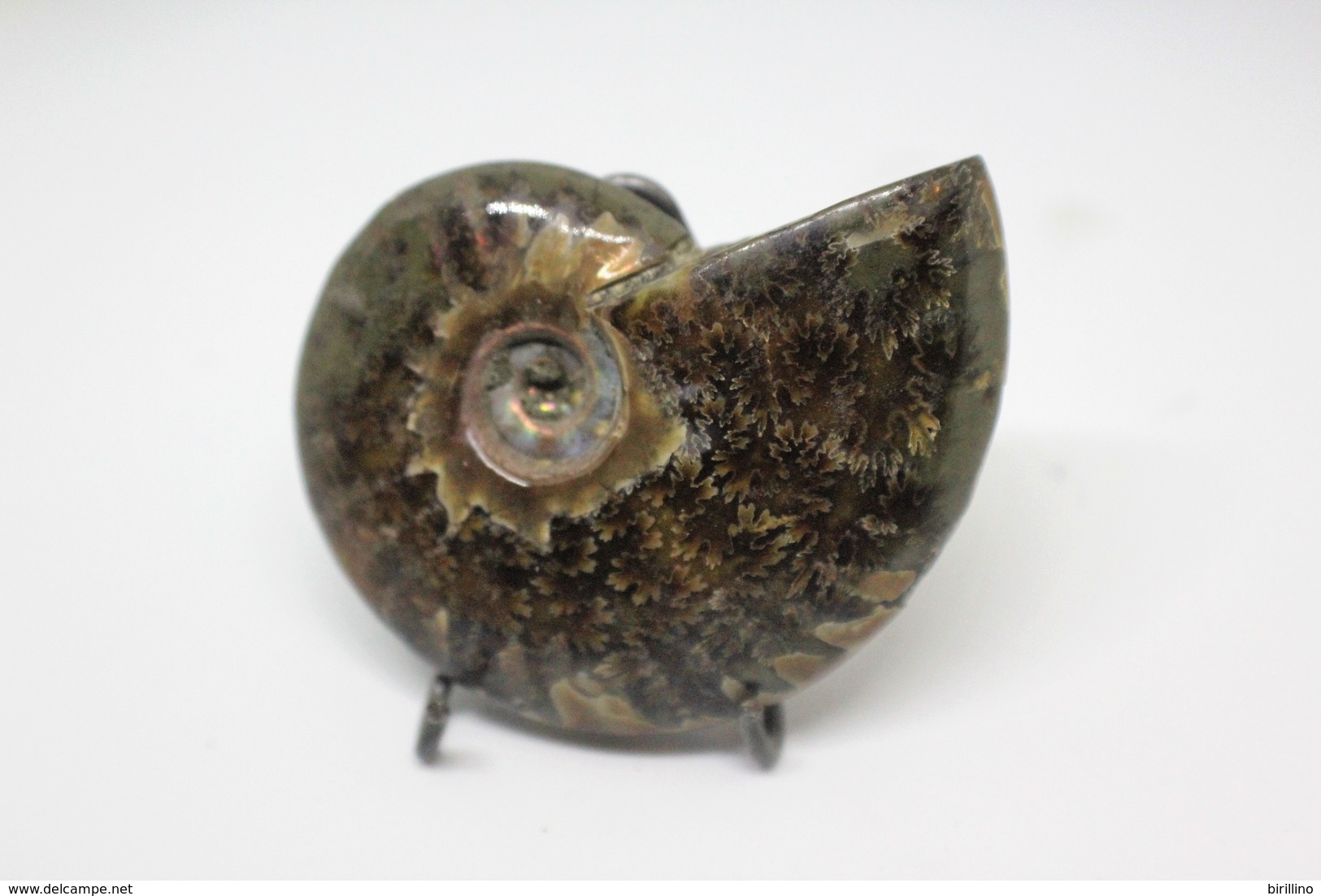 860 - Raro Fossile Di Ammonite Iridescente Naturale - Provenienza Madagascar Peso 77 Gr - Fossiles