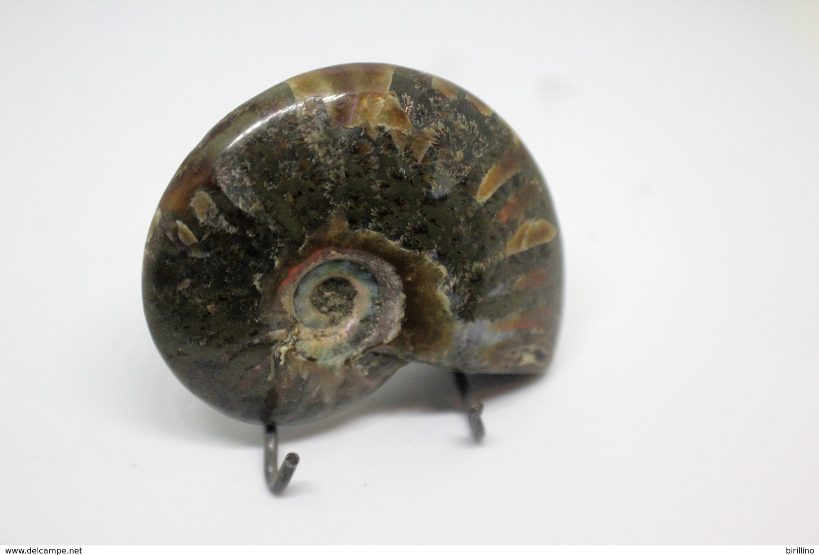 860 - Raro Fossile Di Ammonite Iridescente Naturale - Provenienza Madagascar Peso 77 Gr - Fossiles