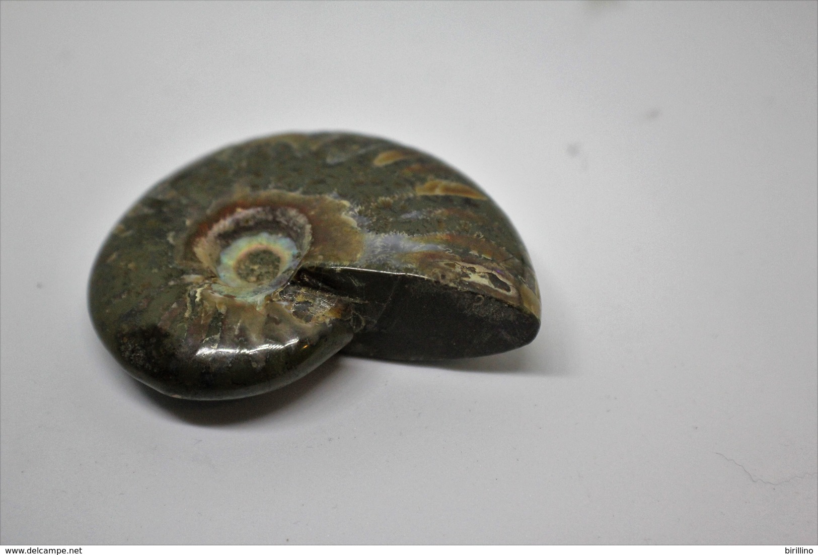 860 - Raro fossile di ammonite iridescente naturale - Provenienza Madagascar Peso 77 gr