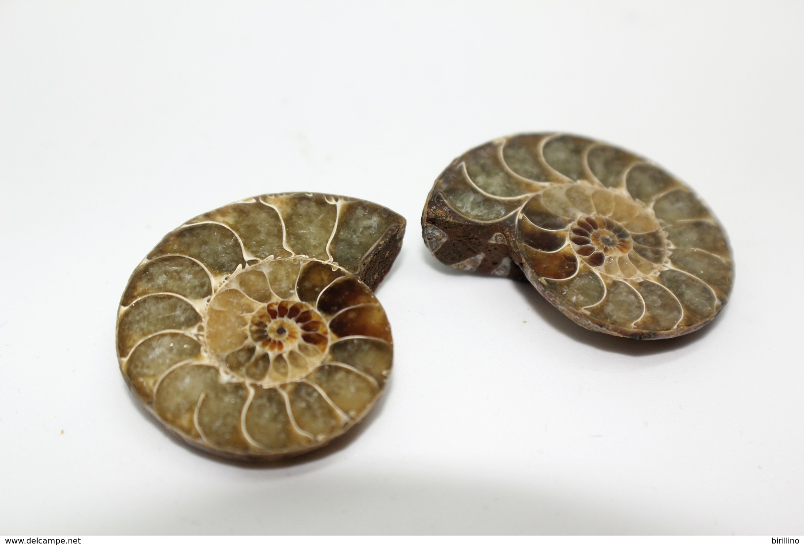 848 - Fossile di ammonite  naturale - Provenienza Madagascar Peso 25,20 gr