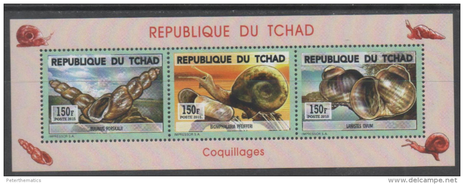 CHAD, 2015, MNH, SHELLS, SNAILS,  SHEETLET - Coneshells