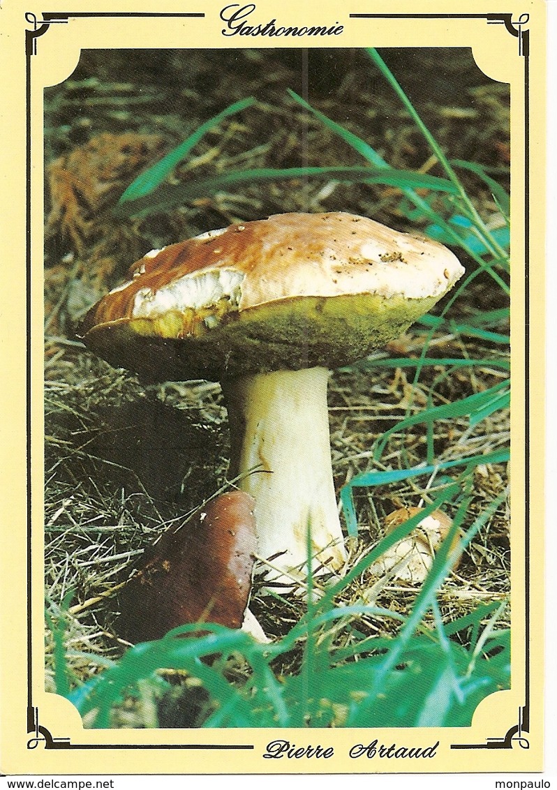 Champignons. CPM. Cêpe. Champignons Des Bois (gastronomie) - Paddestoelen