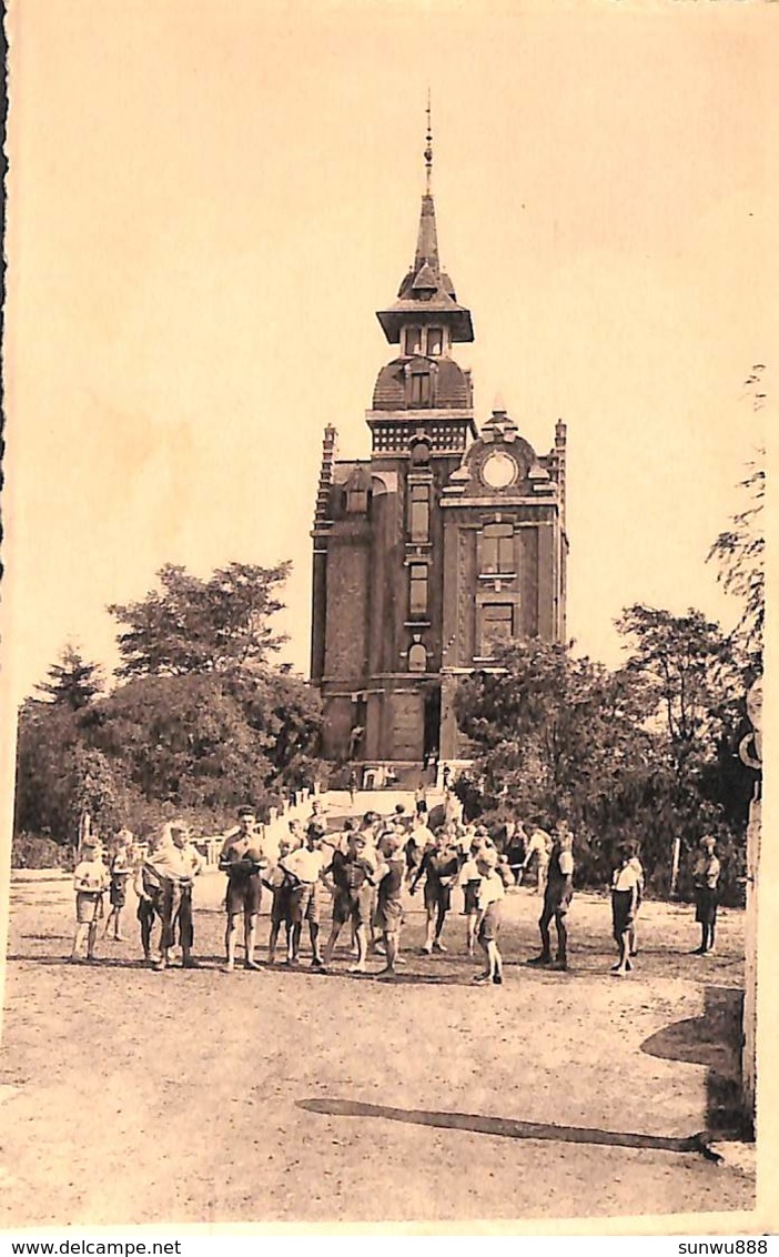 Castia Notre-Dame, Sars-la-Buissière (animée) - Lobbes