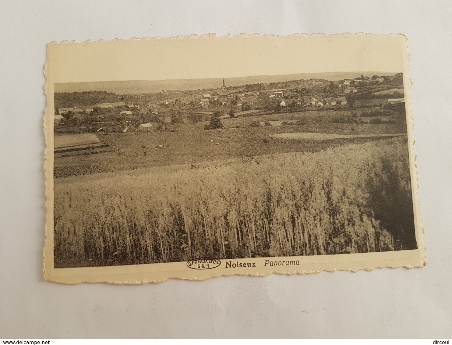 39656 -    Noiseux  Pano - Somme-Leuze