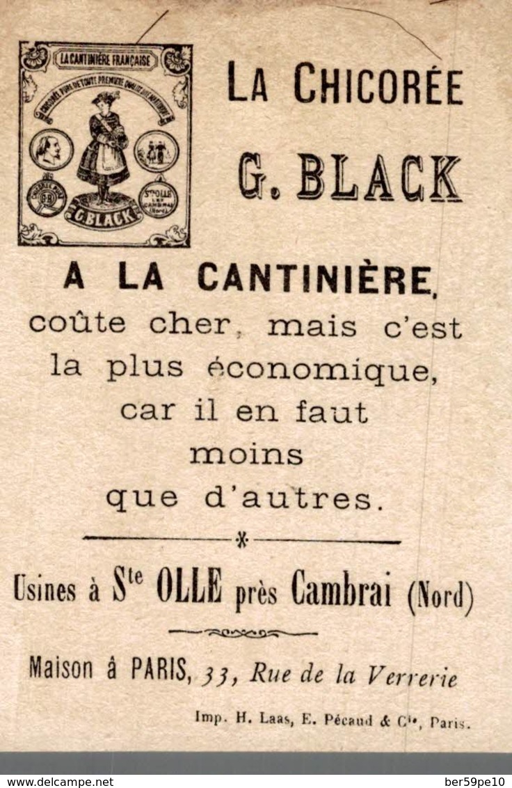 CHROMO CHICOREE  A LA CANTINIERE G. BLACK  SAINTE-OLLE  INFANTERIE 1669 MOUSQUETAIRE - Autres & Non Classés