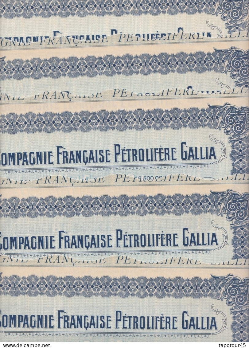 T 5 /N=02 )  Actions & Titres Compagnie Française Pétrolière GALLIA > 5 Actions  De 100 Francs	1926 - Other & Unclassified