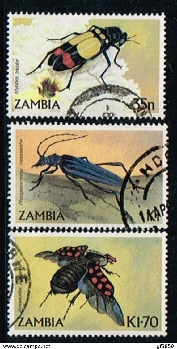 ZAMBIE / Oblitérés / Used/1986 - Insectes (Coléoptères) - Zambie (1965-...)