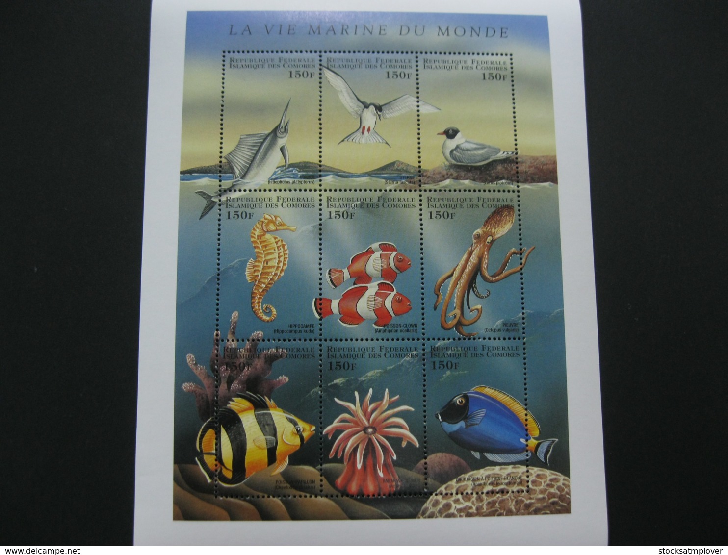 Comoros 1998 Marine Life Fishes   Sheetlet  SCOTT No.828  I201807 - Isole Comore (1975-...)