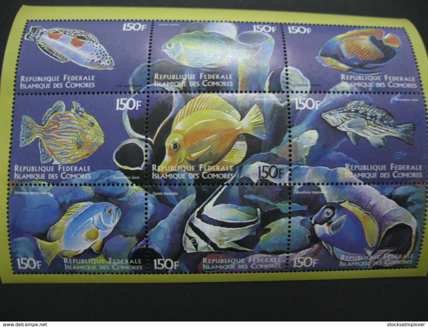 Comoros  1999   Marine Life Fishes   Sheetlet  SCOTT No.874  I201807 - Komoren (1975-...)