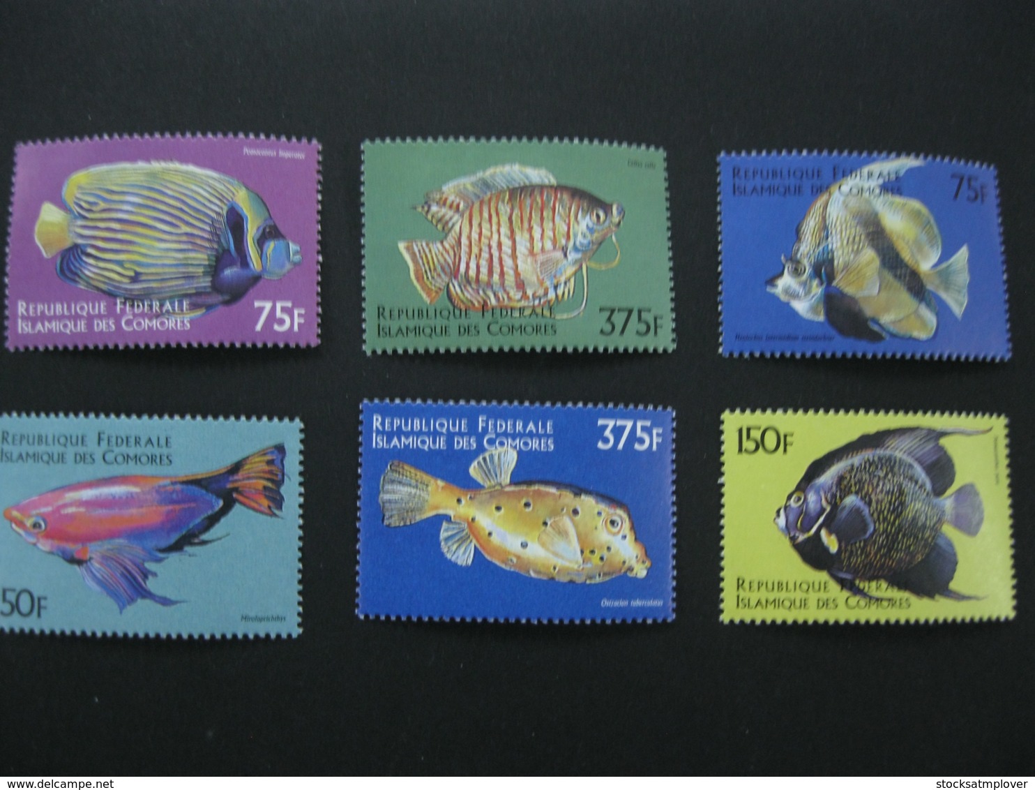 Comoros  1999   Marine Life Fishes   SCOTT No.868-873 I201807 - Comoros