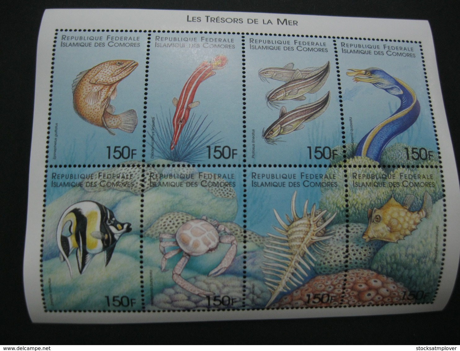 Comoros  1999 Marine Life  Sheetlet  SCOTT No.886 I201807 - Comoros