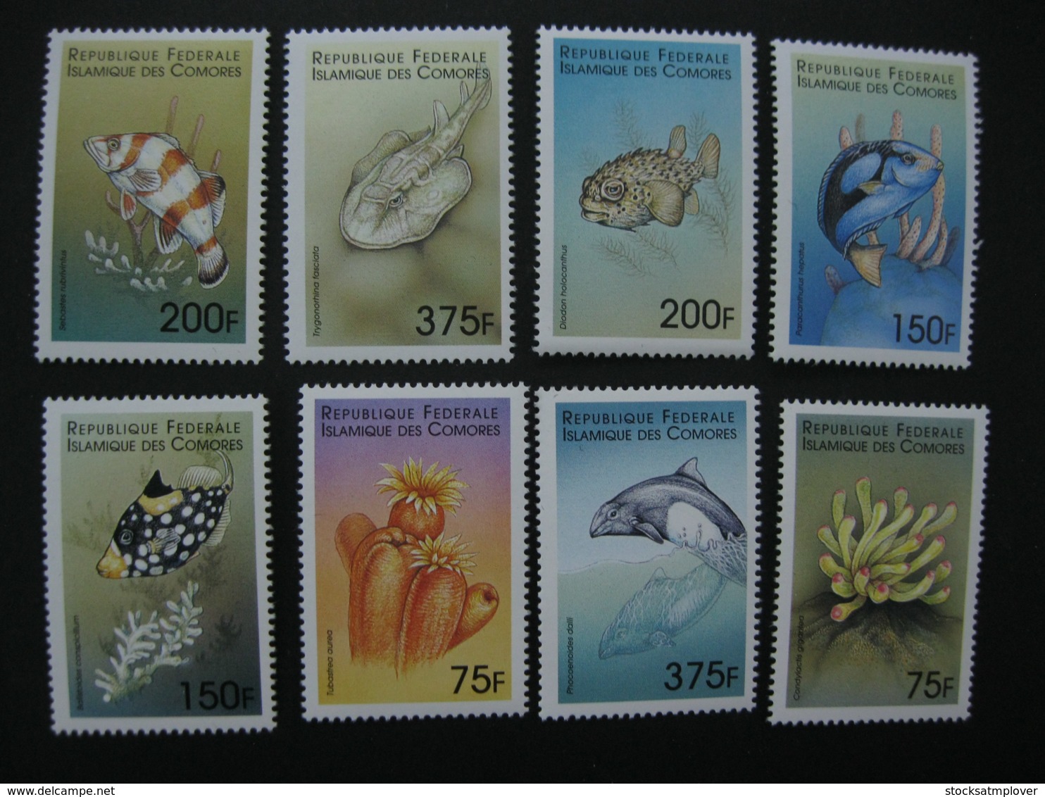 Comoros  1999  Marine Life   SCOTT No.878-885 I201807 - Comoros