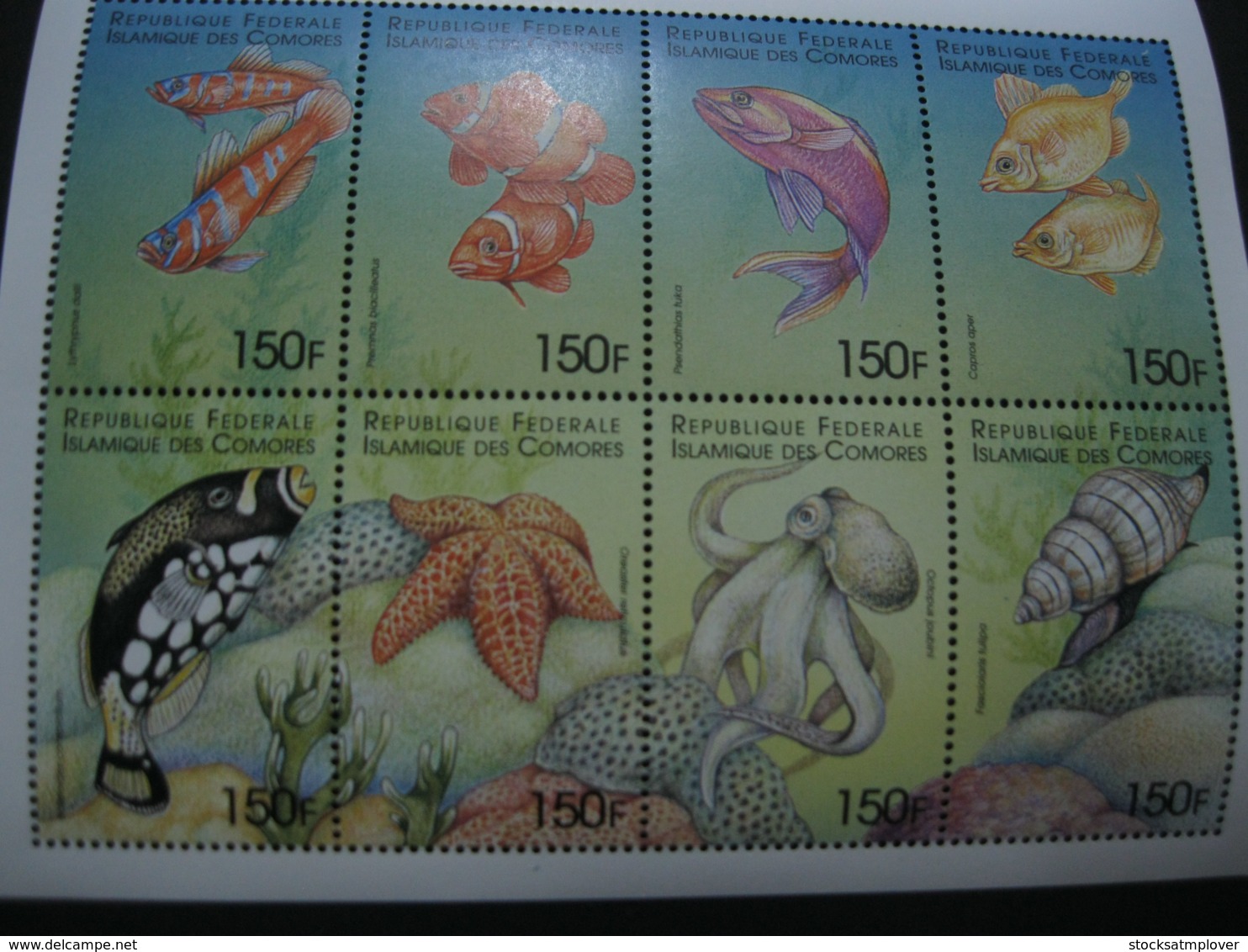 Comoros  1999 Marine Life  Sheetlet  SCOTT No.887 I201807 - Comoros
