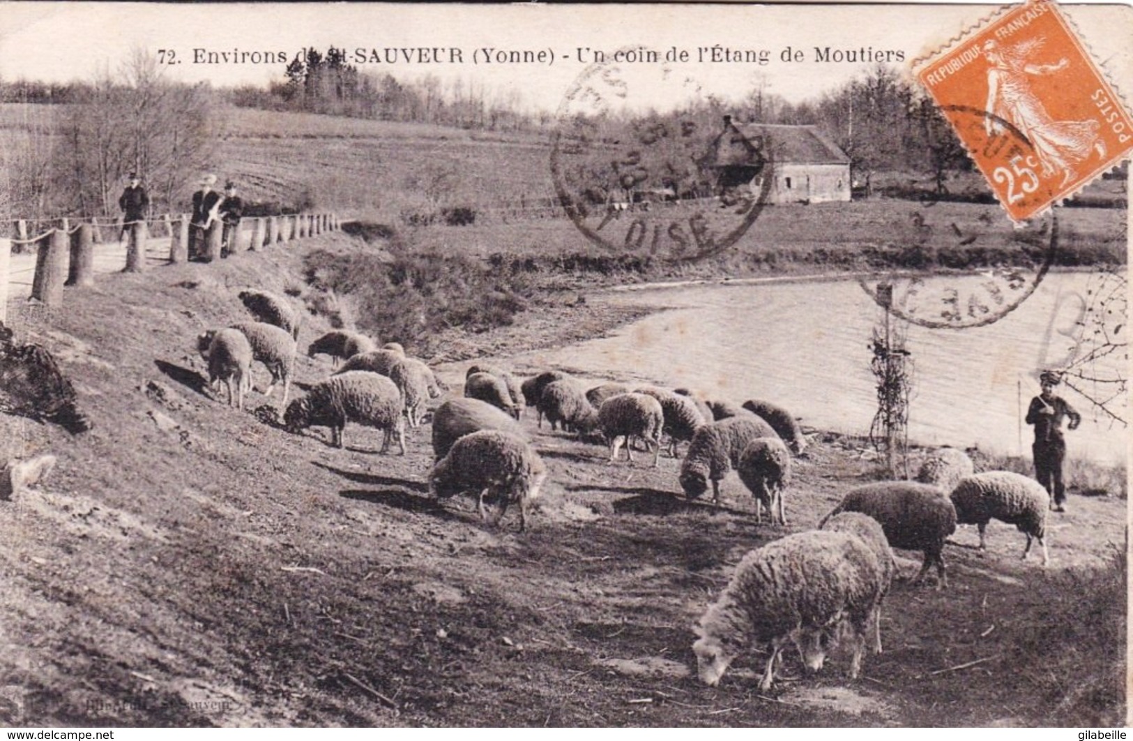 89 - Yonne - Environs De Saint Sauveur En Puisaye -  Un Coin De L Etang De Moutiers ( Moutons Au Paturage ) - Saint Sauveur En Puisaye