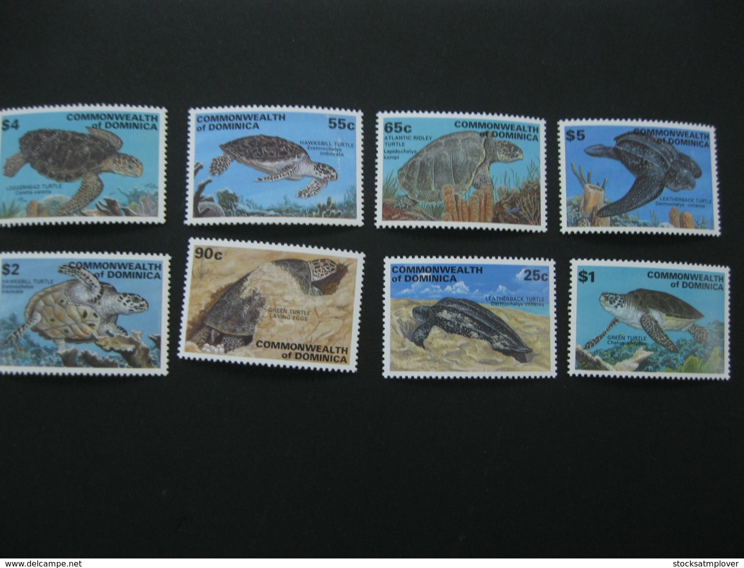 Dominica  1993  Turtles  1548-1555  SCOTT No. I201807 - Dominica (1978-...)