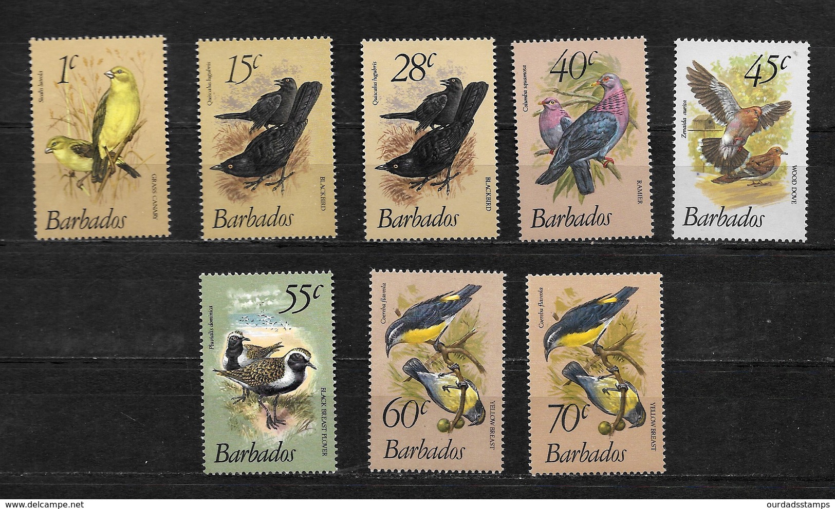 Barbados QEII 1979 Birds,, Small Selection To 70c MNH (7203) - Barbados (1966-...)