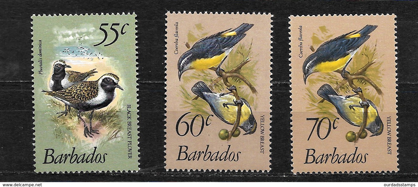 Barbados QEII 1979 Birds,, Small Selection To 70c MNH (7203) - Barbados (1966-...)