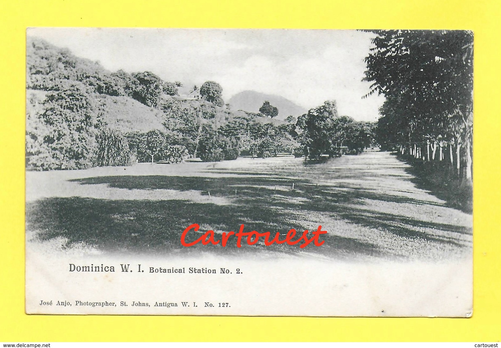 DOMINICA - BOTANICAL STATION 1915 (DOMINIQUE) - Botanical Gardens - Dominique