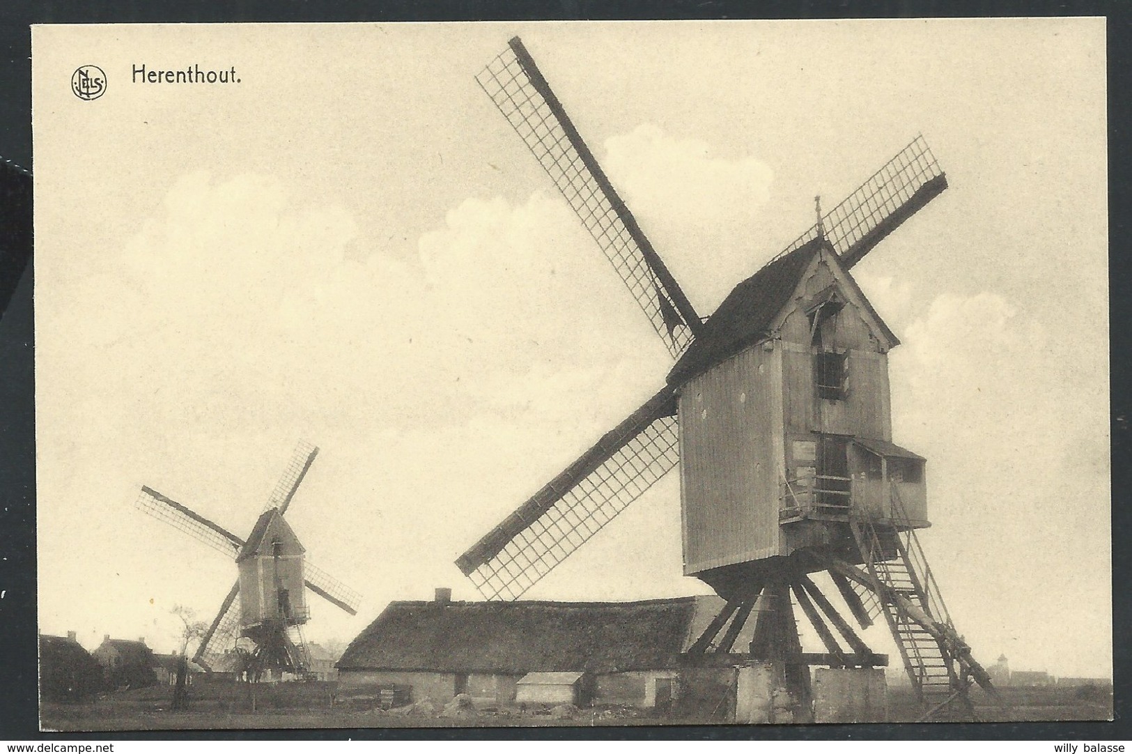 +++ CPA - HERENTHOUT - Molen Moulin - Nels   // - Herenthout