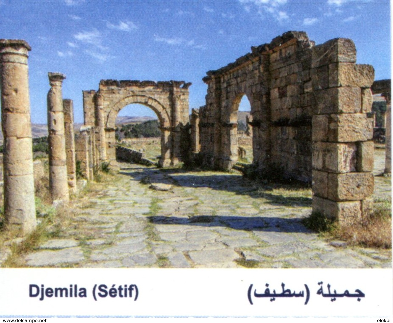 Cité Romaine De Timgad (Timgad - Algérie) - Tickets D'entrée