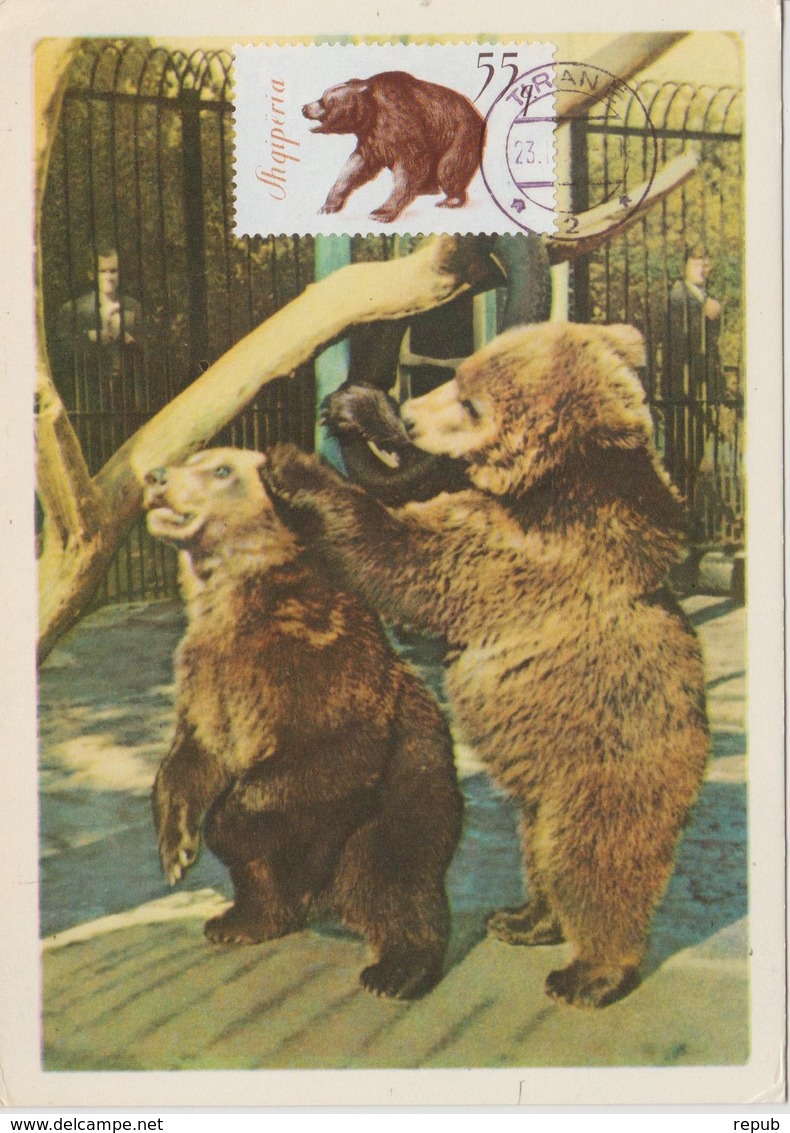 Albanie Carte Maximum Animaux 1965 Ours Bruns 840 - Albanie