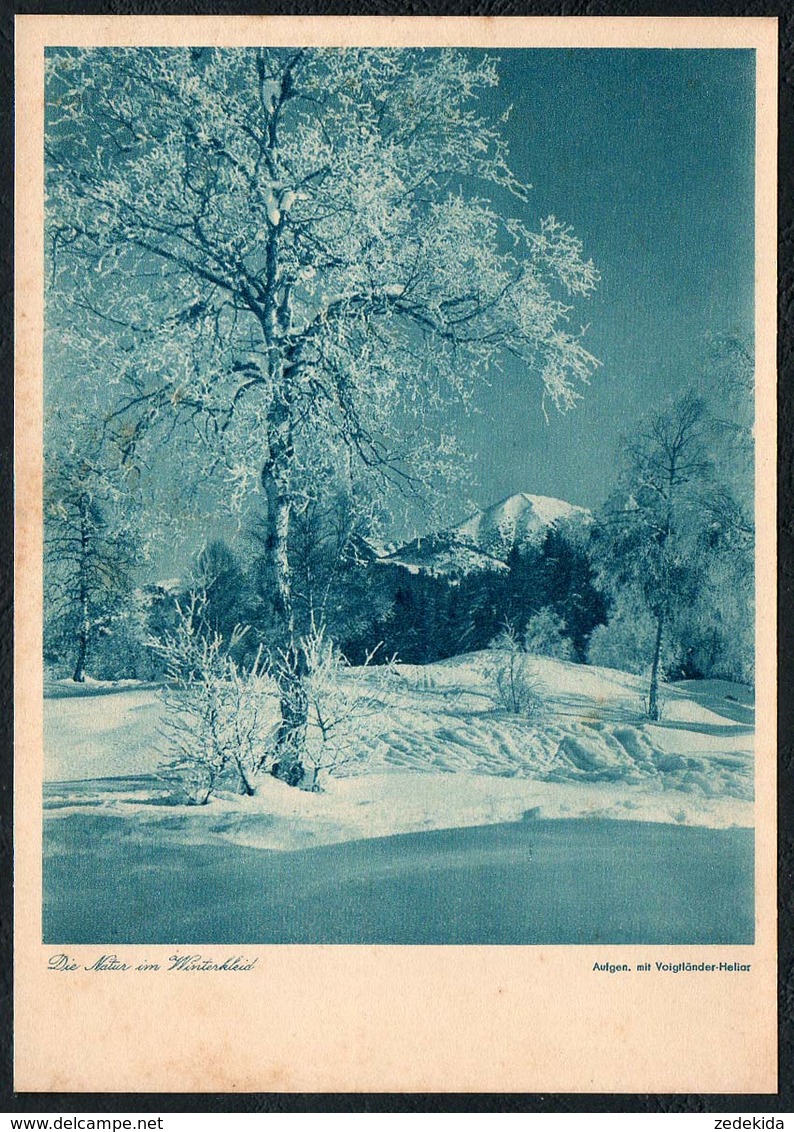 B9563 - Foto Kunstkarte - Natur Im Winterkleid - Voigtländer Heliar - Kupfertiefdruck H. Osterwald Hannover - Sonstige & Ohne Zuordnung