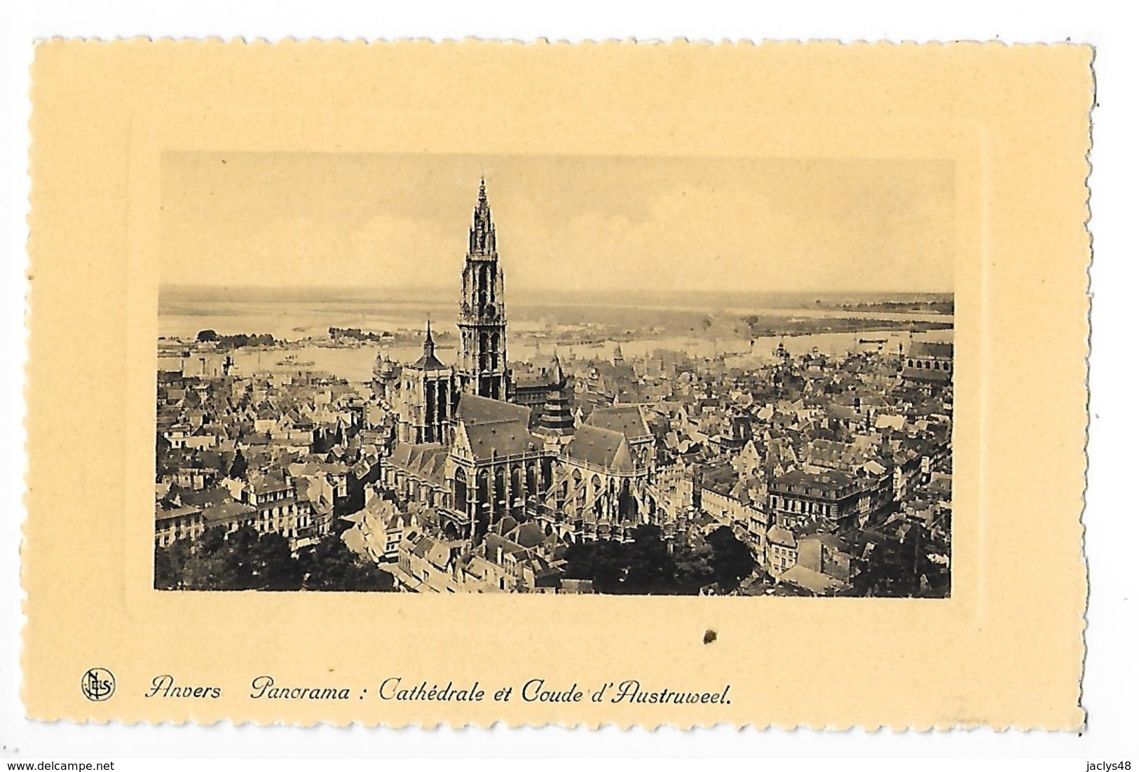 ANVERS - Panorama : Cathédrale Et Coude D'Austruiseel   -  L 1 - Autres & Non Classés