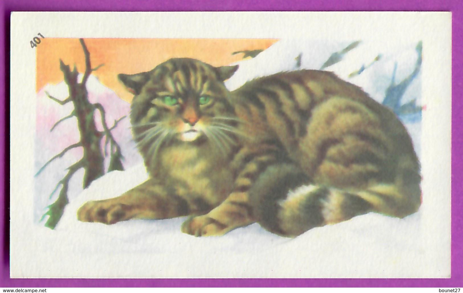 Image Histoire Naturelle " ENTREMETS FRANCORUSSE " N° 401 LE CHAT SAUVAGE Pour L'Album N° 4 - Other & Unclassified