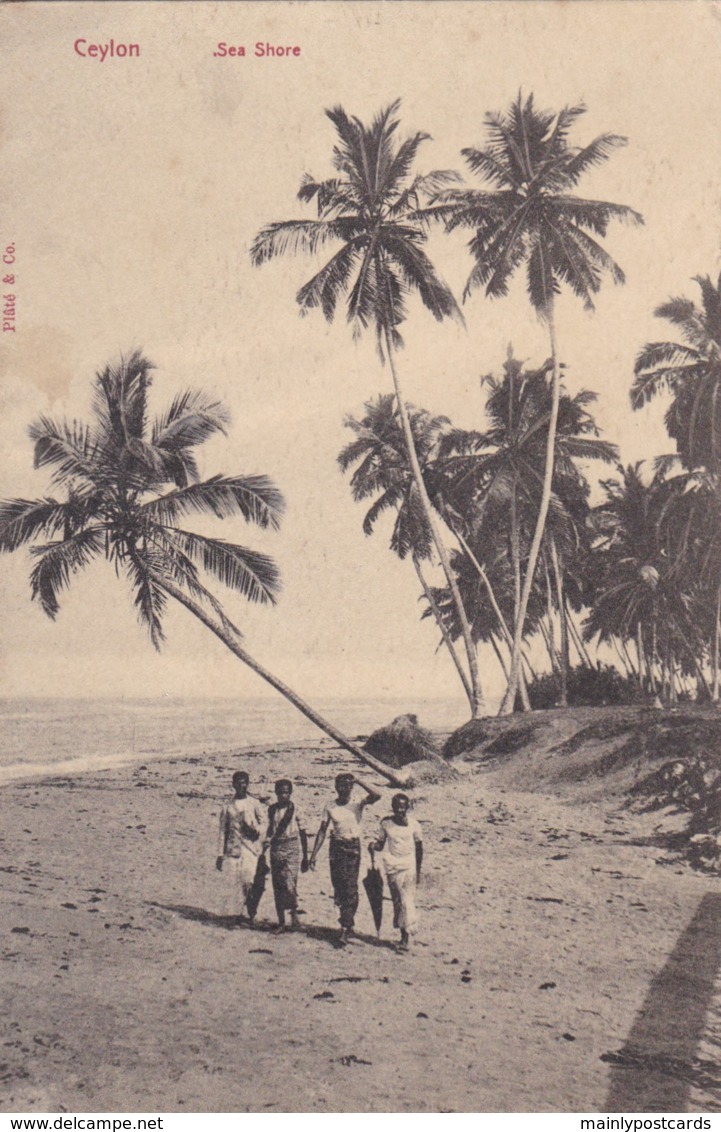 AO51 Ceylon, Sea Shore - Animated, Children - Sri Lanka (Ceylon)