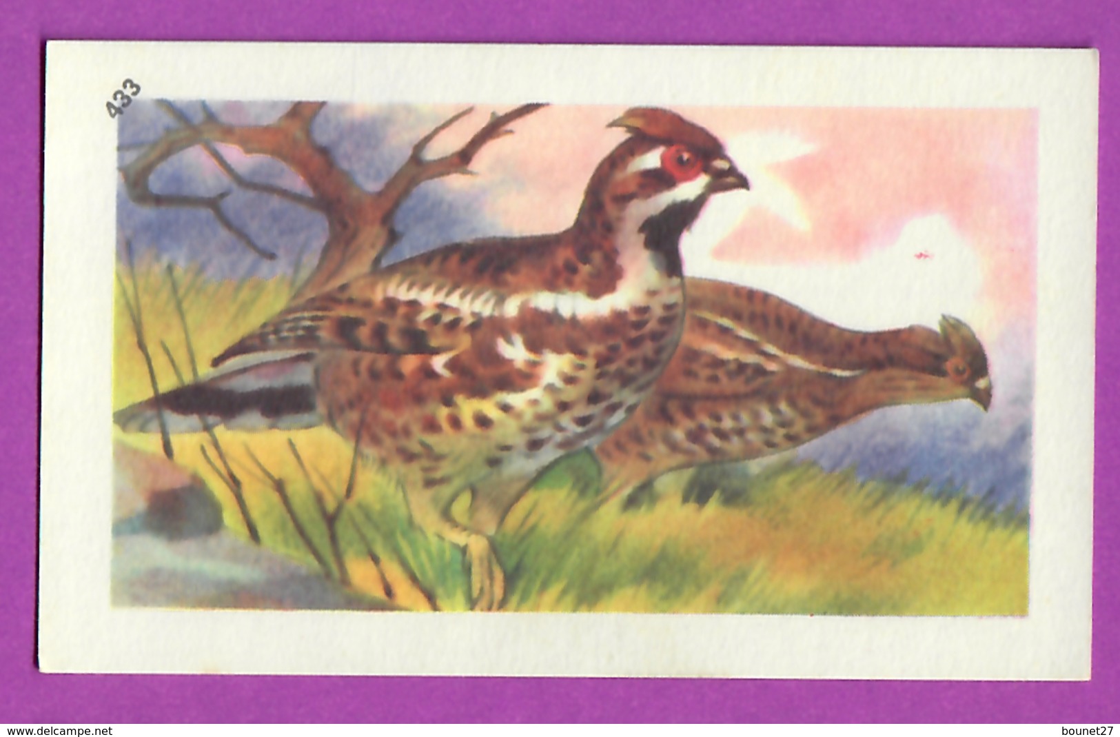 Image Histoire Naturelle " ENTREMETS FRANCORUSSE " N° 433 Oiseau LA GÉLINOTTE - POULE DES BOIS  Pour L'Album N° 4 - Altri & Non Classificati